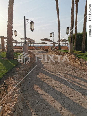 egypt beach in makadi bay 137190896