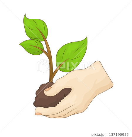 Illustration of Tree Planting 137190935
