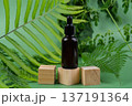 Serum glass bottle over wooden cubes with leaves on green background. Beauty product packaging display 137191364