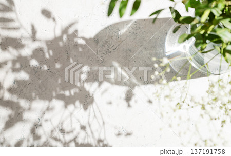 White gypsophila flowers in a glass vase with green leaves cast shadows on a textured light background. White gypsophila flowers in a glass vase with green leaves cast shadows on a textured light background. 137191758