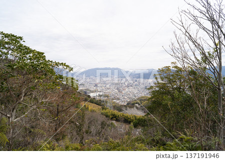 宗箇山（三滝山）の登山道から見た景色（広島アルプス） 137191946