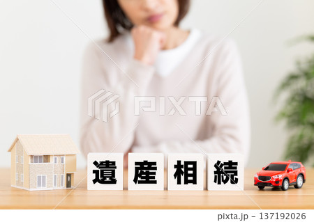 相続分割のブロックと悩むミドル女性 相続分割のブロックと悩むミドル女性 137192026