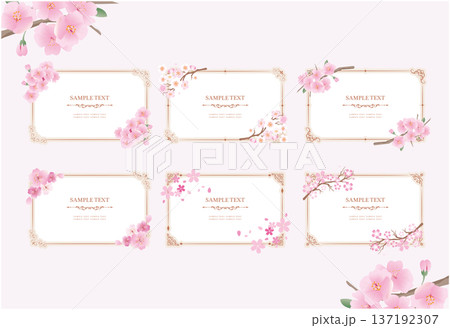 フレーム飾り枠　桜の花 137192307