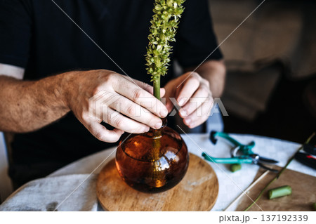 Hands carefully position green floral stalk in round glass bottle on wooden coaster. botanical minimalism, wabi-sabi design, zen home decor, single stem arrangement 137192339