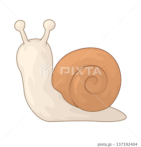Illustration of Snail Illustration of Snail 137192404
