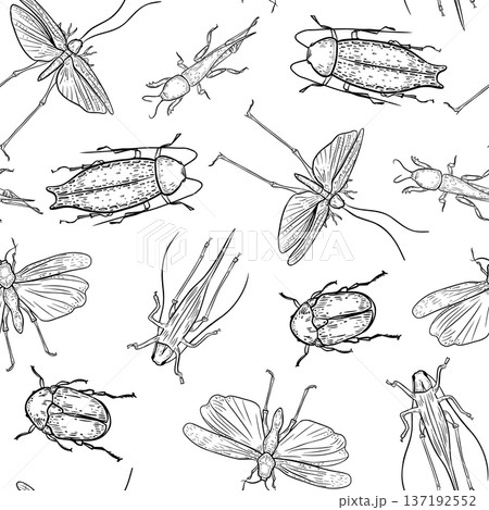 Vector seamless pattern with insects graphic sketch on white background. Bugs and grasshopper outline hand drawn for textile print. Pest insects in linear art style repeat design for paper, packaging. 137192552