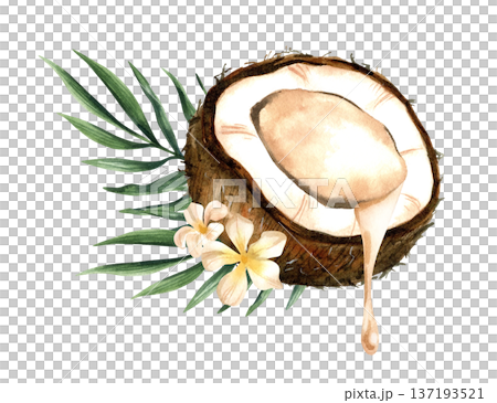 Watercolor half coconut composition with milk and tropical leaves. Botanical isolated illustration. 137193521