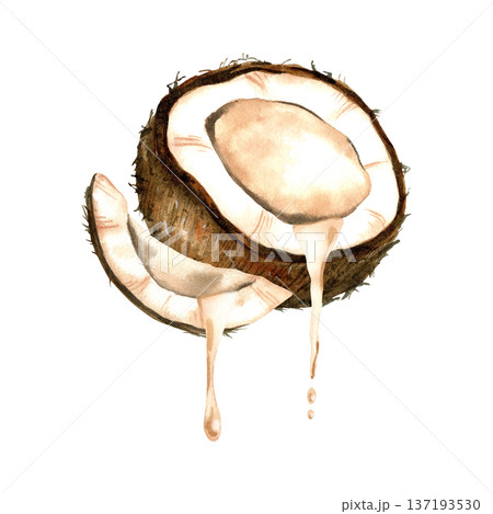 Watercolor coconut composition with half and slice with splashing milk. Botanical isolated illustration. 137193530