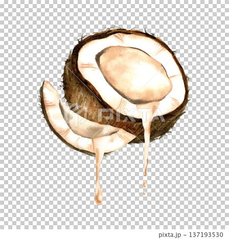 Watercolor coconut composition with half and slice with splashing milk. Botanical isolated illustration. 137193530