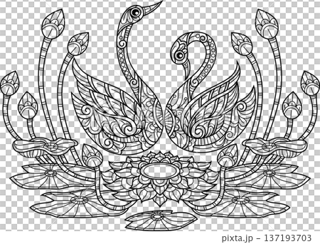 Hand Drawn Of Swans and Lotus Flowers Line Art for Coloring Book Hand Drawn Of Swans and Lotus Flowers Line Art for Coloring Book 137193703