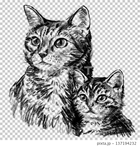 Domestic cat with kitten portrait illustration in black and white pencil style isolated on white background. Hand drawn realistic mother cat and baby symbolizing parenting, care and family love. High Domestic cat with kitten portrait illustration in black and white pencil style isolated on white background. Hand drawn realistic mother cat and baby symbolizing parenting, care and family love. High 137194232