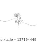 Elegant feverfew flower continuous line drawing minimalist botan. 137194449