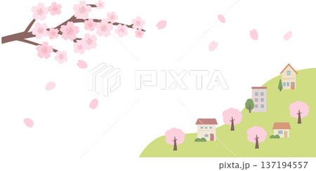 春のバナーイラスト　春の背景　桜の背景イラスト　桜 137194557