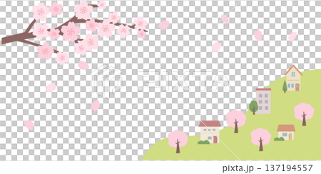 春のバナーイラスト　春の背景　桜の背景イラスト　桜 137194557