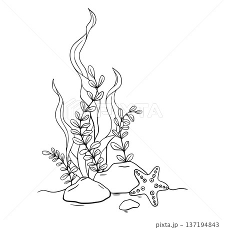 Coloring of Sea Pebbles with marine shell, bottom pebble, seaweed algae, star. Hand drawn outline illustration. Marine, tropical composition for souvenir, posters, sticker, printing, banner. 137194843