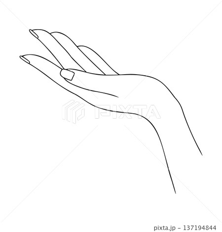 Outline Beautiful elegant female hand in black and white. Vector line art Human body fragment. Hand drawn illustration. Design element for card, invitation, poster, brochure 137194844