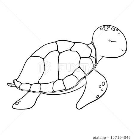 Vector cute Sea turtle. Sketch of swimming marine tortoise. Underwater animal outline painted in black and white. Coloring of Tropical reptile. Hand drawn illustration for kids things Vector cute Sea turtle. Sketch of swimming marine tortoise. Underwater animal outline painted in black and white. Coloring of Tropical reptile. Hand drawn illustration for kids things 137194845