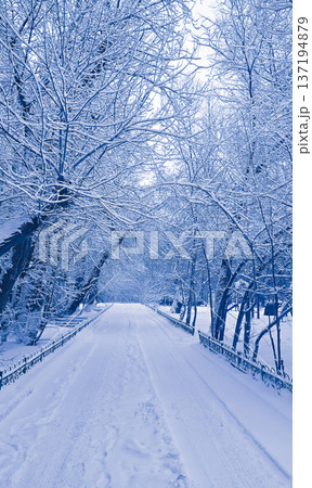 A road covered in snow in Kazakhstan, Astana A road covered in snow in Kazakhstan, Astana 137194879