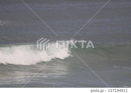波のしずく 137194911