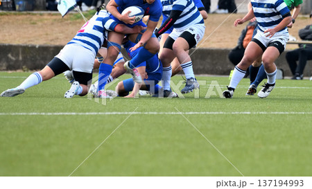 ラグビー、高校ラグビー ラグビー、高校ラグビー 137194993