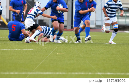ラグビー、高校ラグビー 137195001