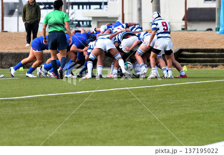 ラグビー、高校ラグビー 137195022