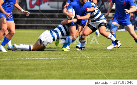 ラグビー、高校ラグビー ラグビー、高校ラグビー 137195040