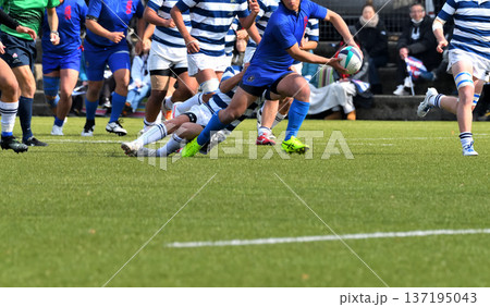 ラグビー、高校ラグビー 137195043