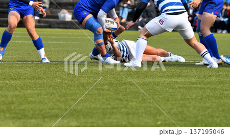 ラグビー、高校ラグビー ラグビー、高校ラグビー 137195046