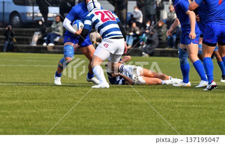 ラグビー、高校ラグビー ラグビー、高校ラグビー 137195047