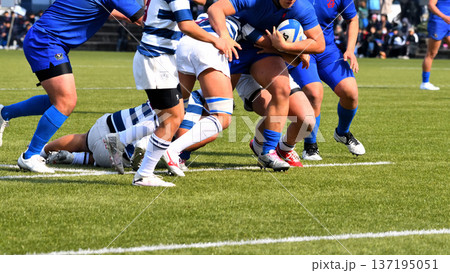 ラグビー、高校ラグビー 137195051