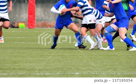 ラグビー、高校ラグビー 137195054