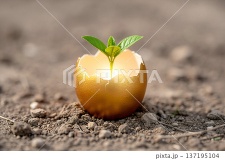 大地の土の上で光り輝く金の卵から芽吹く新芽の成長コンセプト 137195104