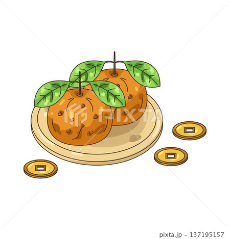 Illustration of mandarin orange Illustration of mandarin orange 137195157