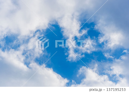 初冬の空を見上げる　青空とフワフワの雲のアップ110 137195253