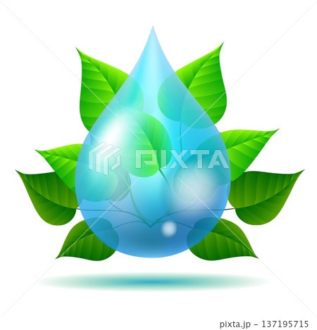 3d water drop with green leaves 137195715