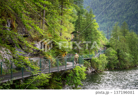 Woman walking dog on scenic lakeside alpine walkway in Austria 137196081