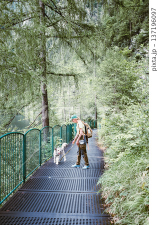 Female hiker walking dog on scenic alpine forest trail in Austria 137196097