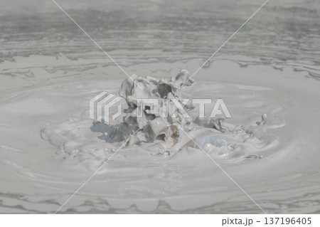 大地の芸術-別府・坊主地獄 大地の芸術-別府・坊主地獄 137196405