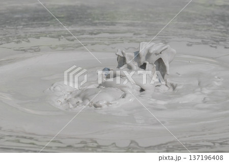 大地の芸術－別府・坊主地獄 137196408