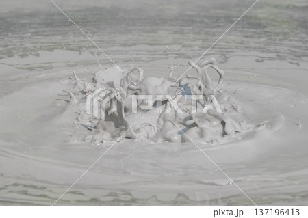 大地の芸術－別府・坊主地獄 137196413