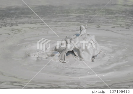大地の芸術-別府・坊主地獄 大地の芸術-別府・坊主地獄 137196416
