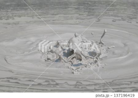 大地の芸術－別府・坊主地獄 137196419