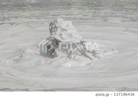 大地の芸術－別府・坊主地獄 137196436