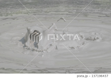 大地の芸術-別府・坊主地獄 大地の芸術-別府・坊主地獄 137196437