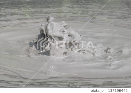 大地の芸術-別府・坊主地獄 大地の芸術-別府・坊主地獄 137196443