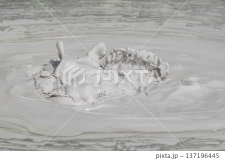 大地の芸術－別府・坊主地獄 137196445