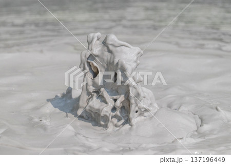 大地の芸術－別府・坊主地獄 137196449