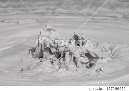 大地の芸術－別府・坊主地獄 137196453