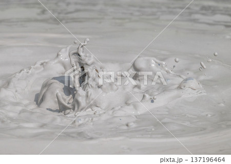 大地の芸術－別府・坊主地獄 137196464